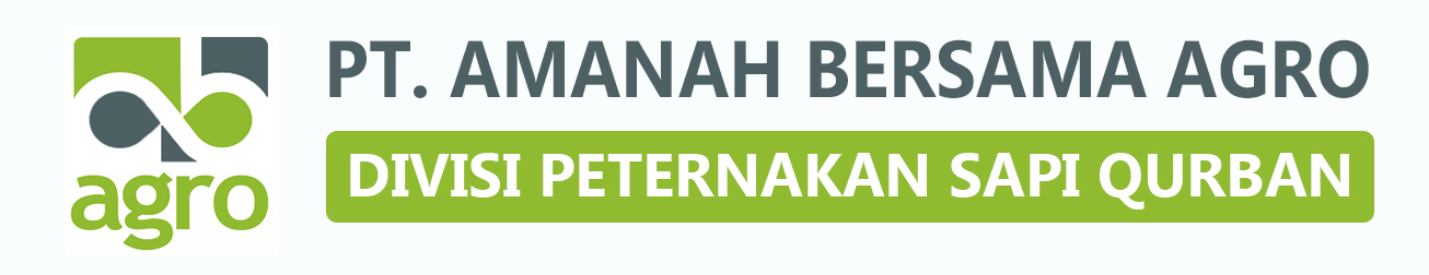 PT Amanah Bersama Agro – Sapi Qurban Jabodetabek